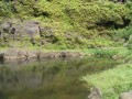 Le bassin