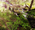 Le Bavezon Le Bavezon