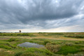 Le B&eacute;go, dunes de Plouharnel