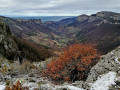 le belvédère de Révoulat