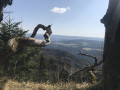 le belvédère du Bémont