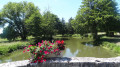 Le Beuvron à Tour-en-Sologne