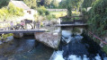 Le bief de la Vacherie