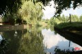 Le bief du Moulin de Vanneau