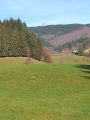 Autour de Sitzenkirch par la ruine Sausenburg et le Schloss Bürgeln