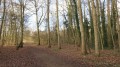 Le Bois de la Balastière