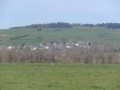 Le bois de Mercou