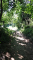 The Bois Des Brosses