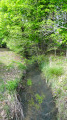 Le Bourillon à Marcilly-en-Villette Le Bourillon à Marcilly-en-Villette