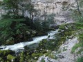 Le Bournillon Le Bournillon