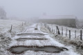 Le brouillard Le brouillard