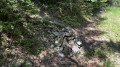 Le cairn indiquant la sente (derri&egrave;re) montant au pic
