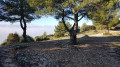 Boucle autour du vallon du Pas de l'Étroit Boucle autour du vallon du Pas de l'Étroit