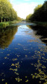 En bordure du canal de Nimy à Peronnes En bordure du canal de Nimy à Peronnes