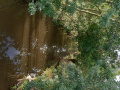 Le Canal du Chail Le Canal du Chail
