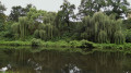 Le Canal Roanne Digouin