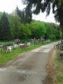 Le canal