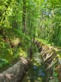 Le canal