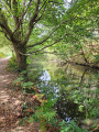 Le canal