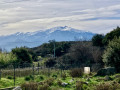 Le Canigou depuis Arboussols
