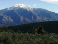 le Canigou enneigé
