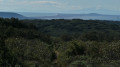 Le Canigou enneigé
