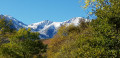 Le Canigou