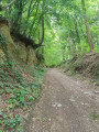 Le Canyon