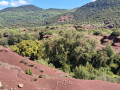 La fin du canyon, au retour