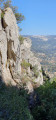 Le capucin