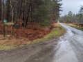 Le Carrefour de Fresnay - Forêt de Rennes