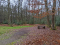 Des méandres de l'Ille aux lignes de la forêt de Rennes