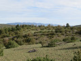 Le causse du Larzac