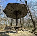 Le Champignon de Wixhou