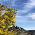 Le château d'Ucel