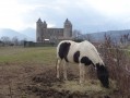 le château de Bon Repos