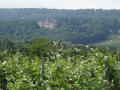 Le Château de Boursault, vu de l'autre rive de la Marne