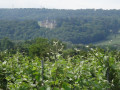 Le château de Boursault, vu de la rive droite de la Marne