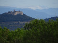 Le Château de Gicon