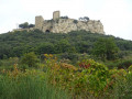 Le Château de Gicon
