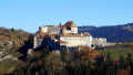 Le château de Joux