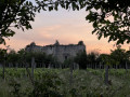 Le château de Montfaucon