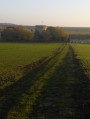 En terre du Tardenois En terre du Tardenois