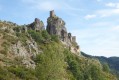 Le Château de Roche Bonne