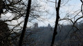 Le château féodal de Montfaucon