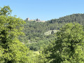 the castle