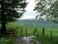 Le Chaume des Neufs Bois