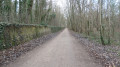 Le chemin à la Chapelle-Saint-Mesmin