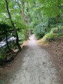 Le chemin aménagé