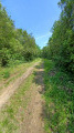 Le chemin autour du point de passage 5